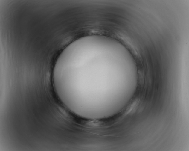 X0000086940269200705141808