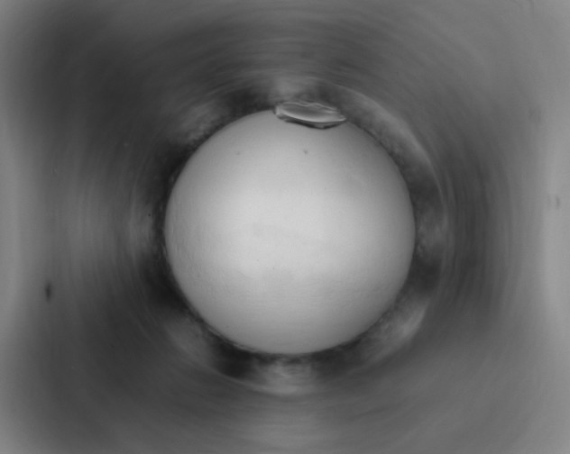 X0000086940270200705141808