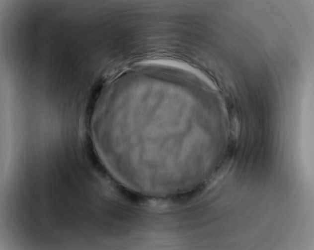 X0000086940272200705141808