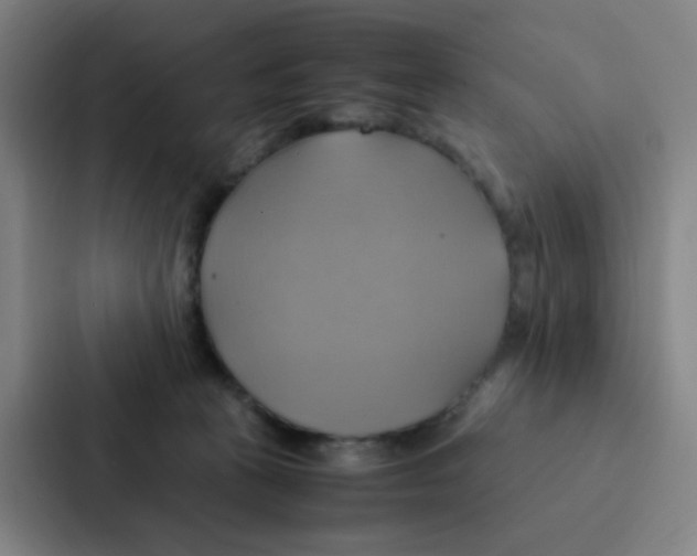 X0000086940273200705141808