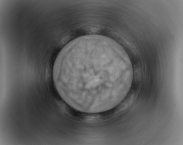X0000086940274200705141808