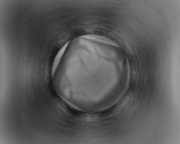 X0000086940275200705141808