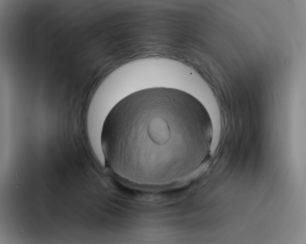 X0000086940276200705141808