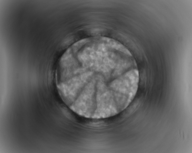 X0000086940278200705141808