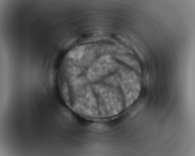 X0000086940280200705141808
