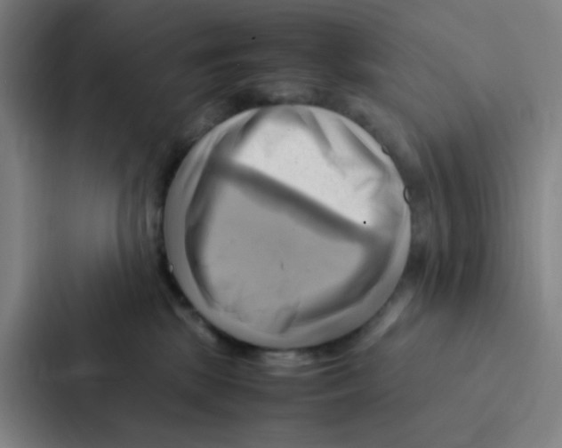 X0000086940281200705141808