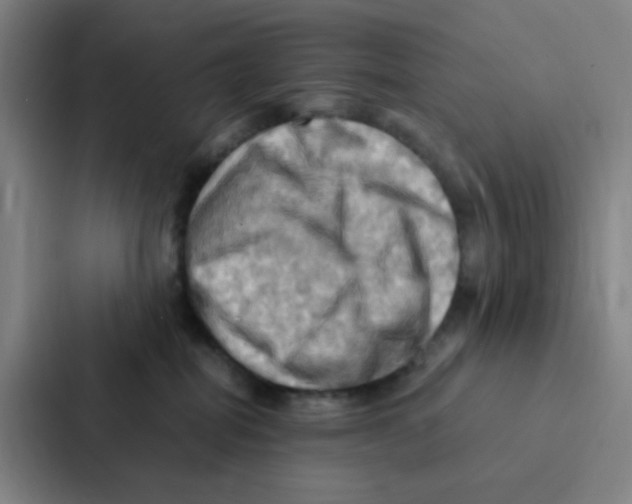 X0000086940282200705141808