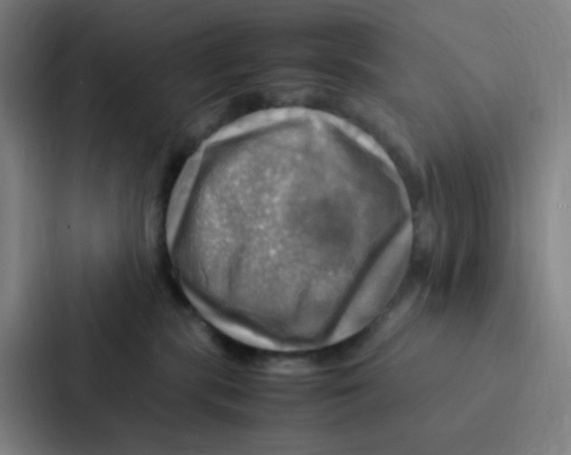 X0000086940283200705141808