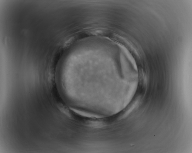 X0000086940284200705141808