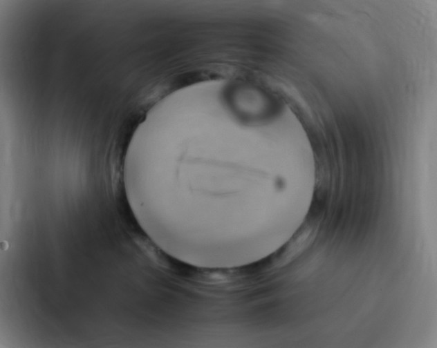 X0000086940285200705141808