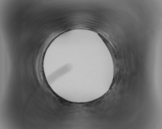 X0000086940289200705141808