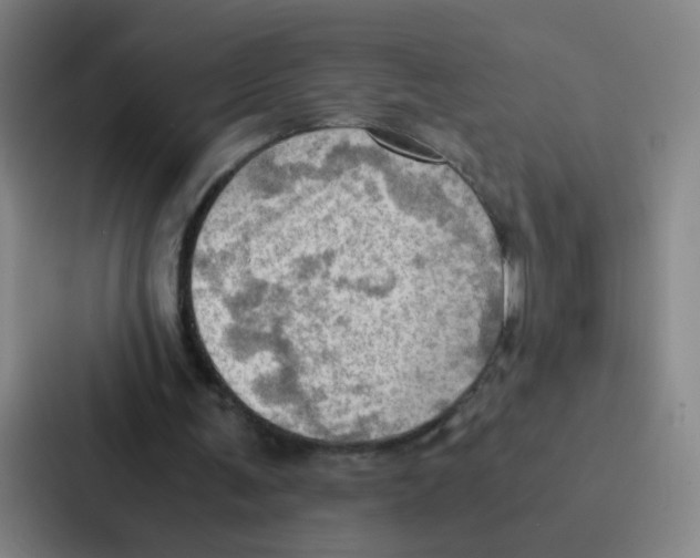 X0000086940291200705141808