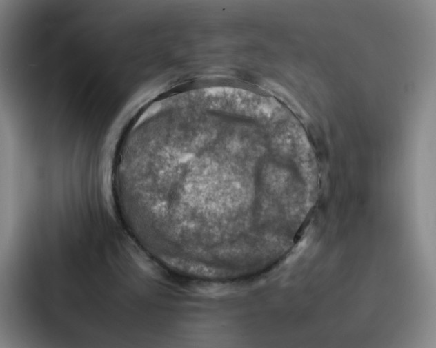 X0000086940293200705141807