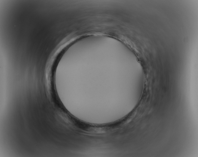 X0000086940295200705141807