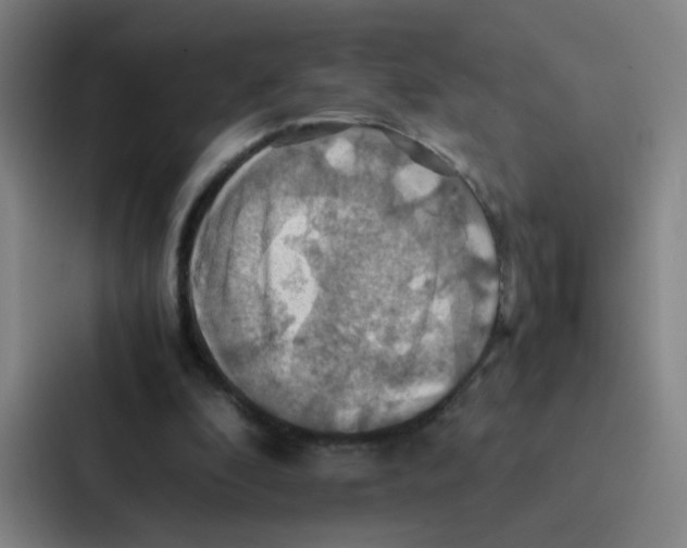 X0000086940296200705141807