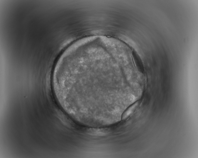 X0000086940297200705141807