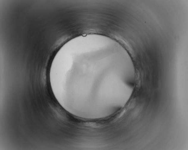 X0000086940298200705141807
