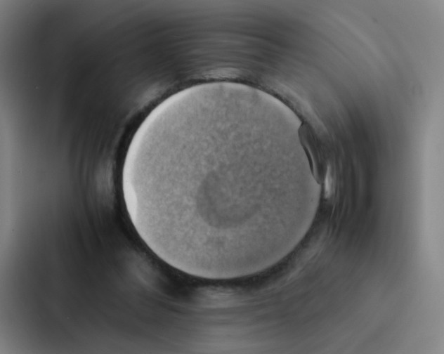 X0000086940300200705141807
