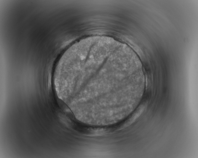 X0000086940301200705141807