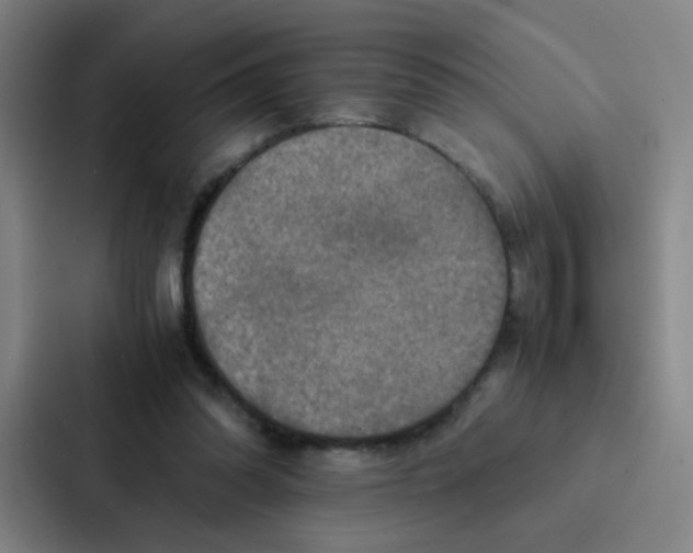 X0000086940302200705141807