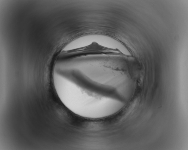 X0000086940303200705141807