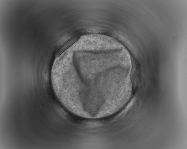 X0000086940305200705141807