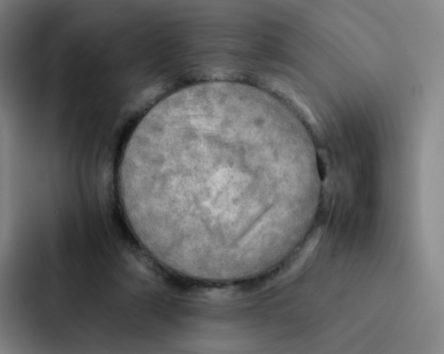 X0000086940306200705141807