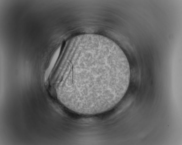 X0000086940307200705141807