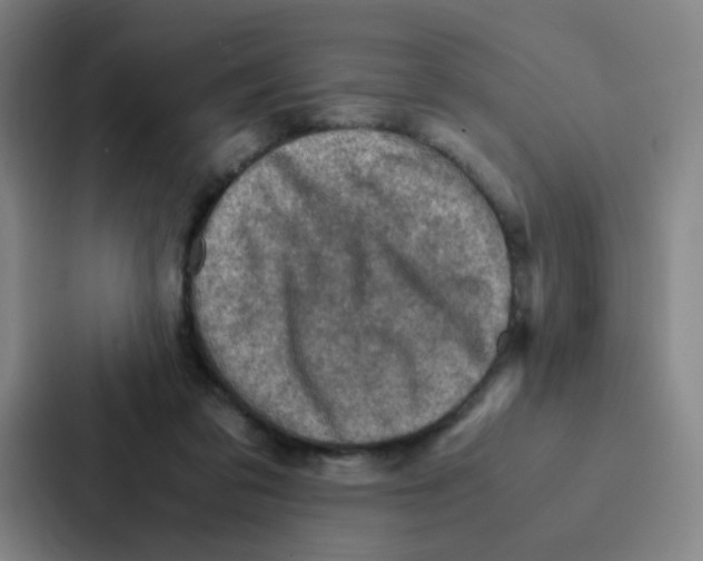 X0000086940309200705141807