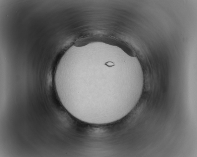 X0000086940310200705141807