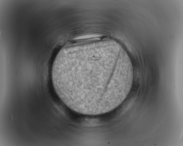 X0000086940311200705141807