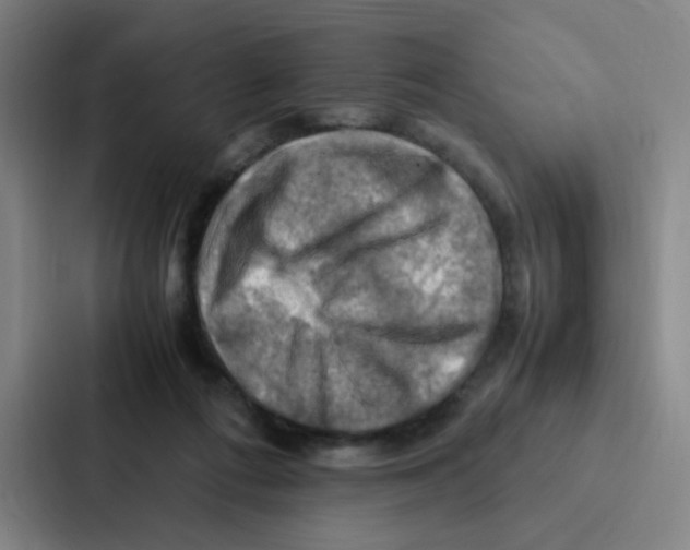 X0000086940312200705141807