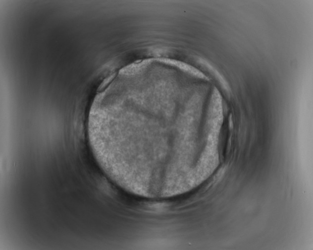 X0000086940313200705141807