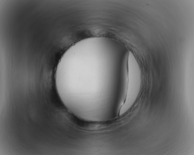 X0000086940319200705141807