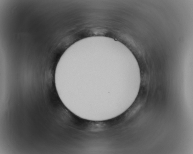 X0000086940321200705141807