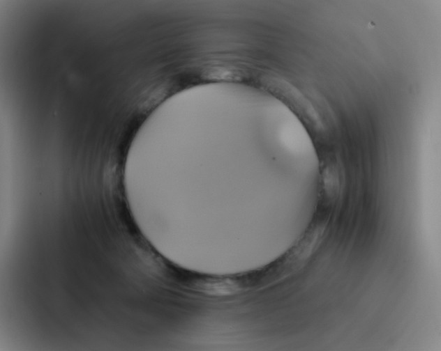 X0000086940322200705141807