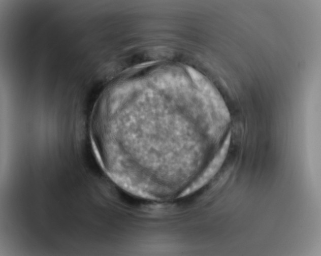 X0000086940323200705141807