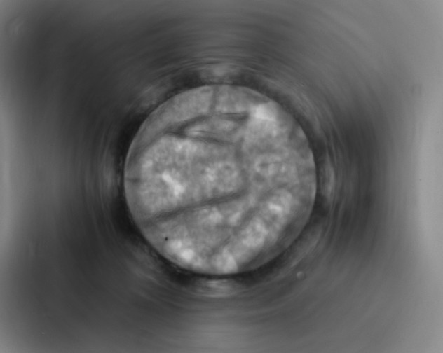 X0000086940324200705141807