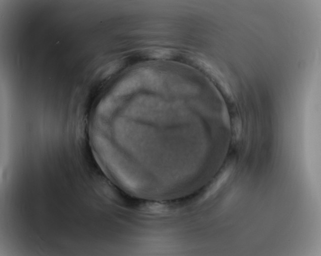 X0000086940325200705141807
