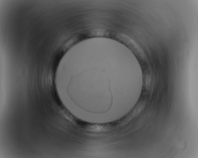 X0000086940326200705141807