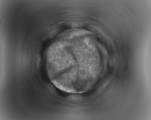 X0000086940327200705141807