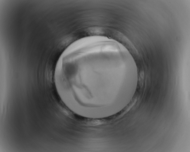 X0000086940330200705141807