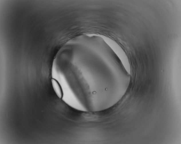 X0000086940331200705141807
