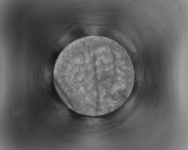 X0000086940332200705141807