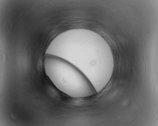 X0000086940333200705141807