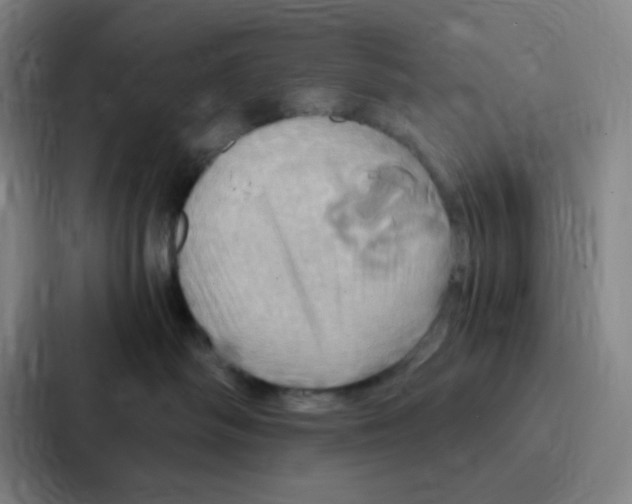 X0000086940334200705141807