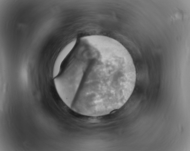X0000086940335200705141807