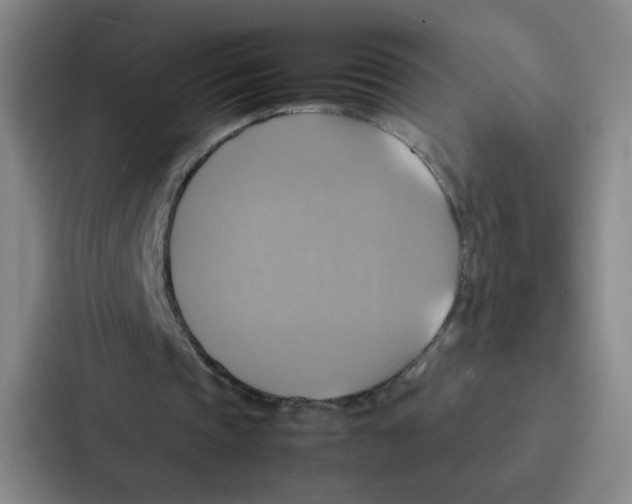 X0000086940337200705141806