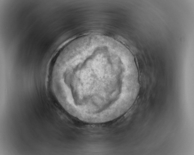 X0000086940338200705141806