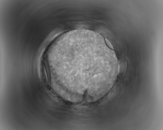 X0000086940339200705141806